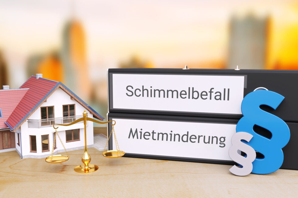 Miete mindern bei Schimmel Was Du als Mieter wissen solltest