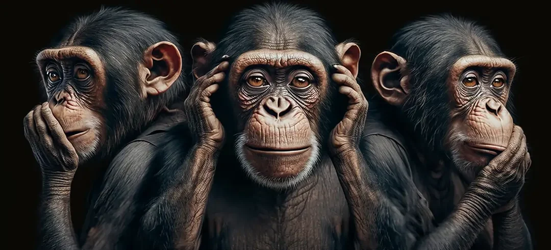 Unsichtbarer Schimmel – wo versteckt er sich und wie werde ich ihn los?