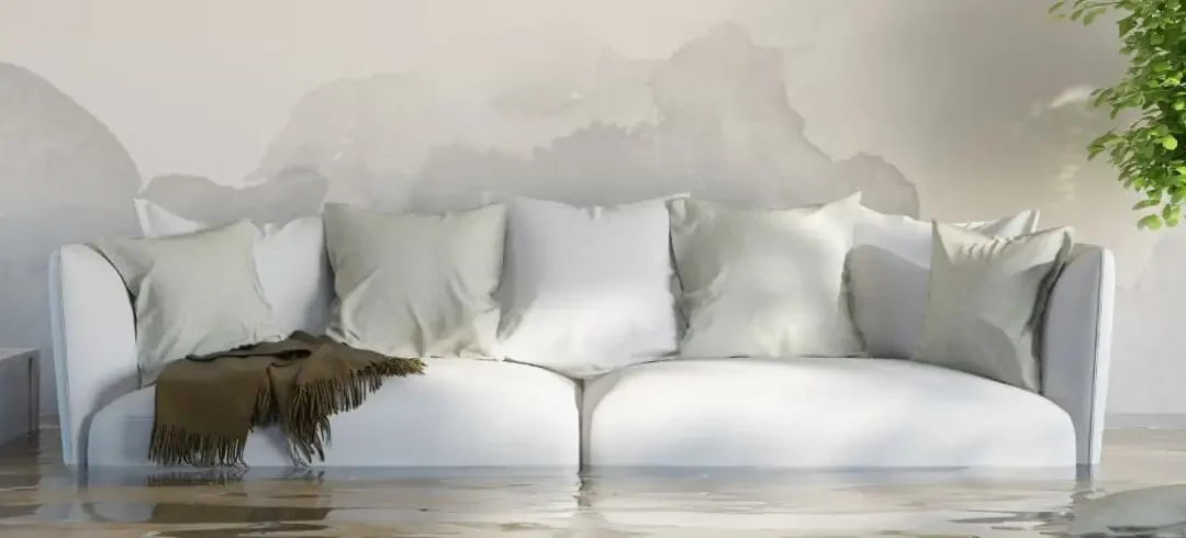 Schimmel unter dem Sofa