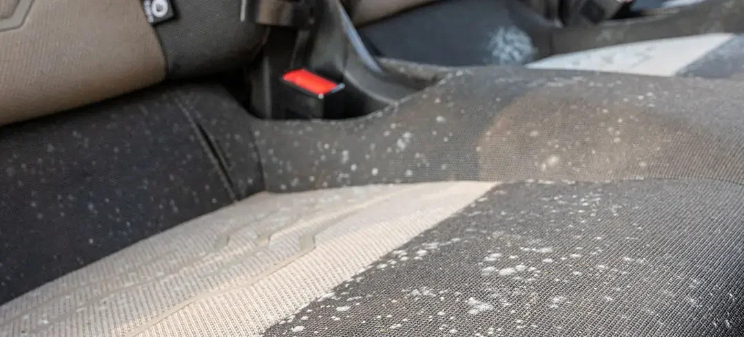 Kein Wintermärchen: Schnee erhöht Feuchtigkeit im Auto