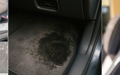 Schimmel im Auto – So wirst Du ihn los