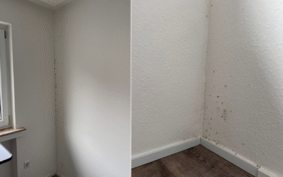 Schimmel in der Ecke – So wirst Du ihn los