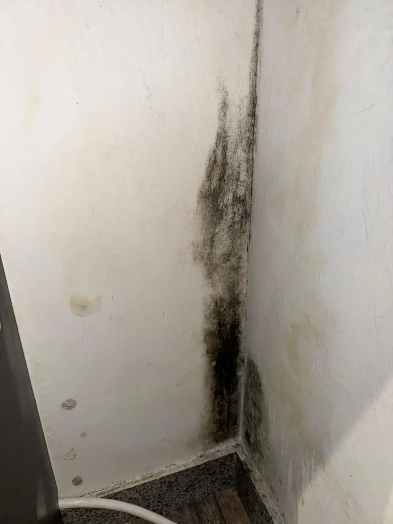 Deutlich sichtbarer Schimmel in der Raumecke.